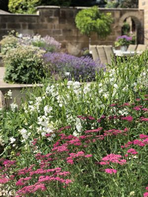 Photo 72- click for photo gallery